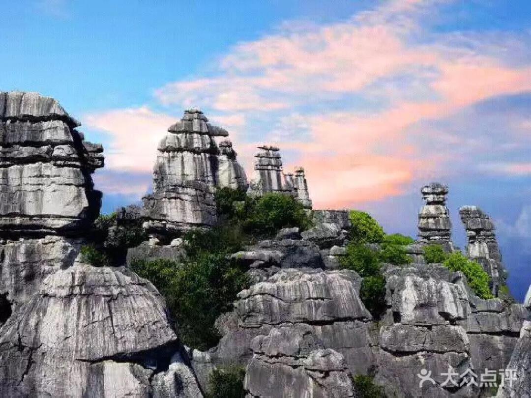 Stone Forest Mijia Guest House Shilin Exterior foto