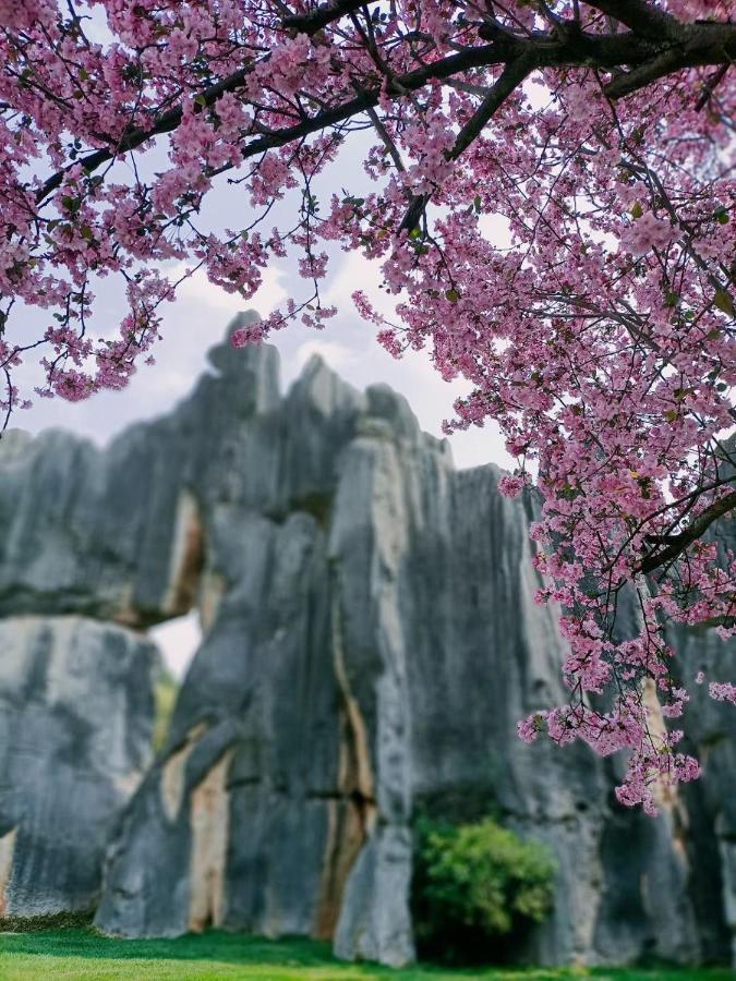 Stone Forest Mijia Guest House Shilin Exterior foto